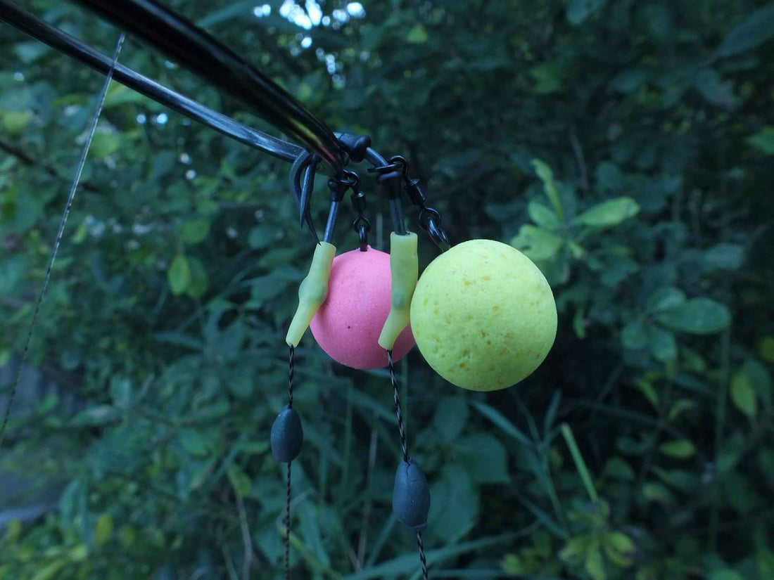 Best Hookbaits for Winter Carp Fishing in the UK